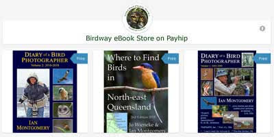 Photo of Name birdway_on_payhip