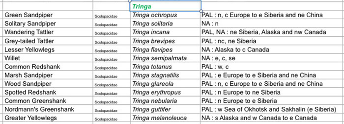 Photo of List of species in Tringa tringa.jpg