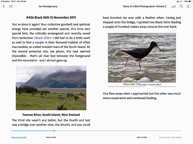 Screen shot from Diary of a Bird Photographer Volume 2: subject Black Stilt