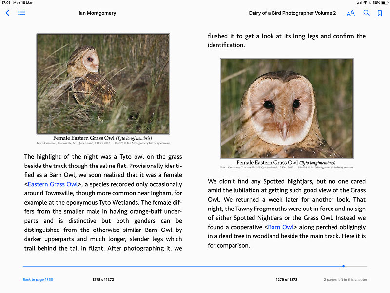 Screen shot from Diary of a Bird Photographer Volume 2: subject Eastern Grass Owl
