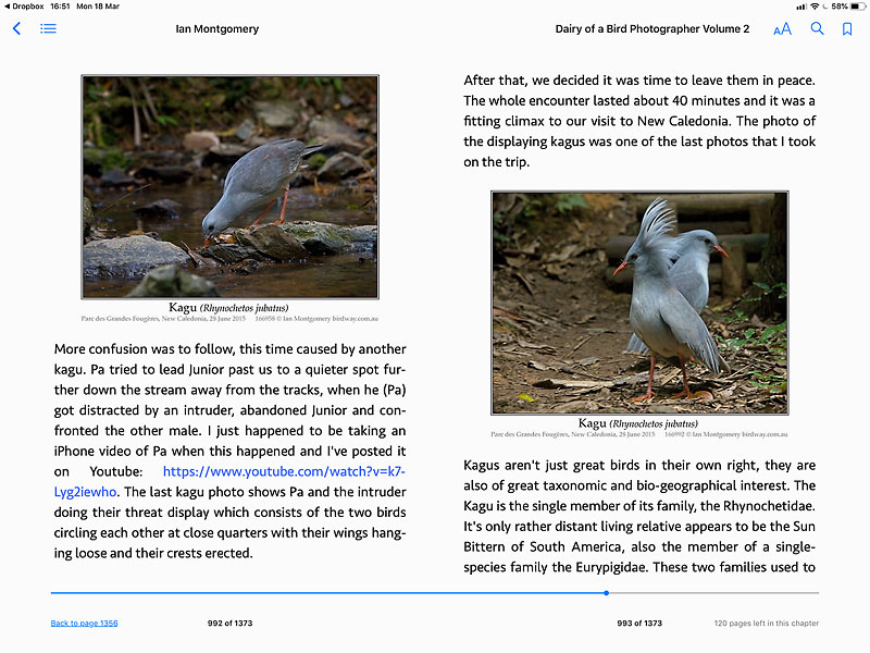 Screen shot from Diary of a Bird Photographer Volume 2: subject Kagu