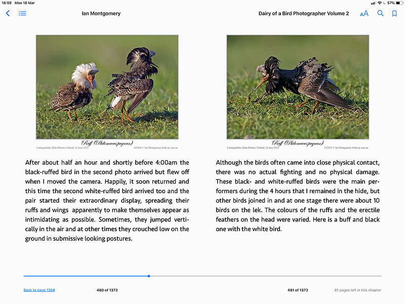 Screen shot from Diary of a Bird Photographer Volume 2: subject Ruff